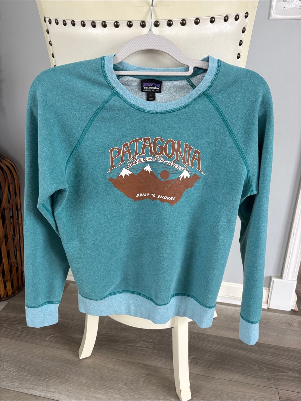 Patagonia Teal Graphic Crewneck Sweatshirt with Mountain Logo